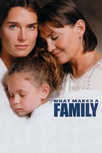 Poster for What Makes a Family