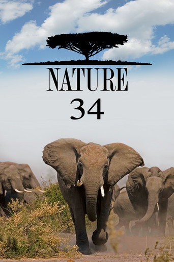 The poster for Season 34