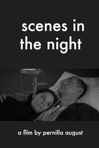 Poster for Scenes in the Night