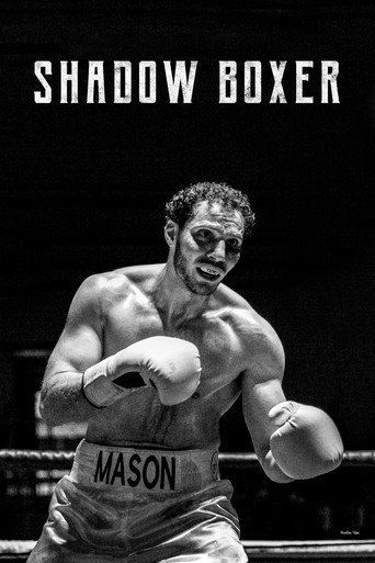 Poster for Shadow Boxer