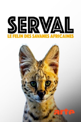 Poster for Servale - Afrikas unbekannte Katzen
