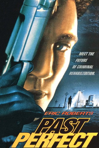 Poster for Past Perfect