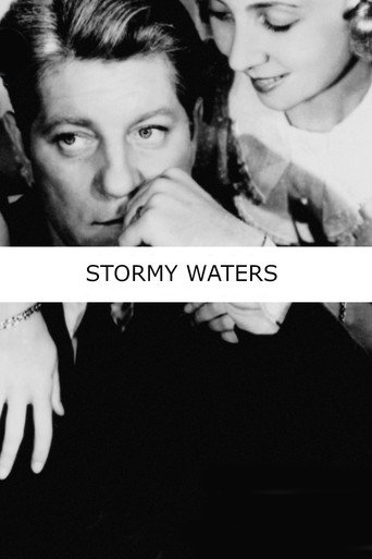 Poster for Stormy Waters