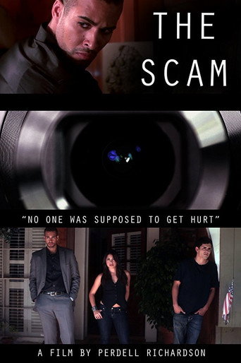 Poster for The Scam