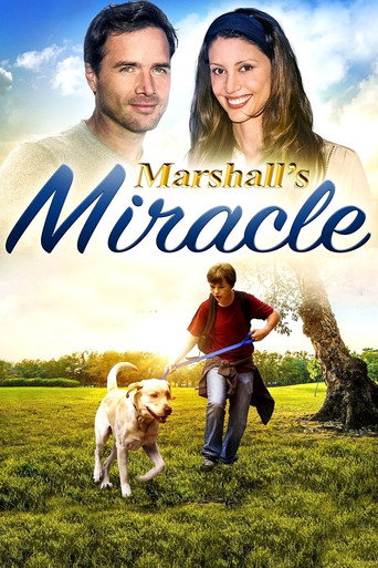 Poster for Marshall's Miracle