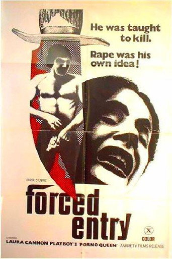 Poster for Forced Entry