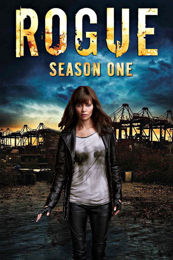 The poster for Season 1