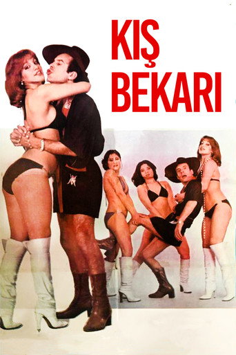 Poster for Kış Bekarı