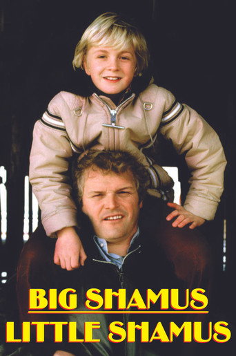 Poster for Big Shamus, Little Shamus