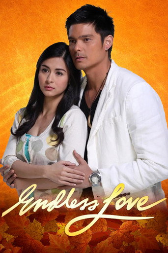 The poster for Endless Love