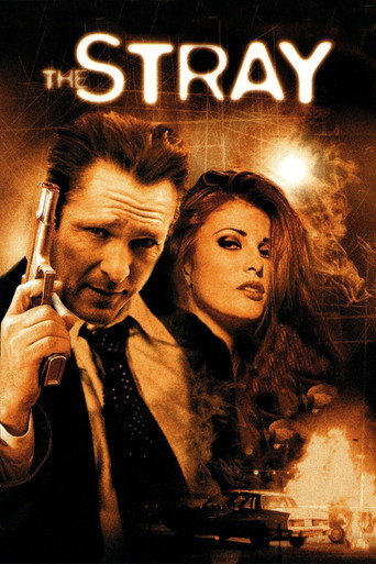 Poster for The Stray