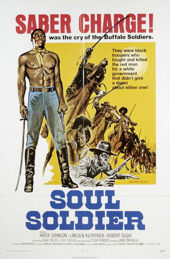 Poster for The Red, White, and Black