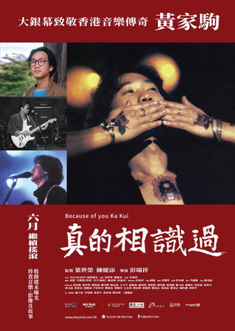 Poster for Because of you Ka Kui