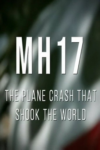 Poster for MH17: The Plane Crash That Shook The World