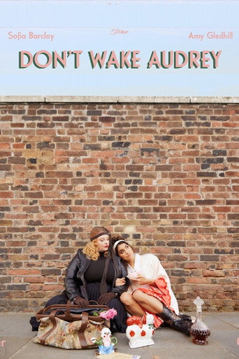 Poster for Don’t Wake Audrey