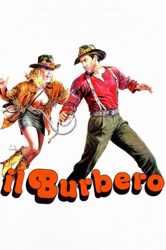 Poster for Il burbero