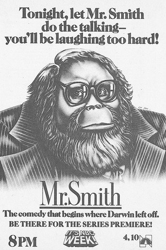 Poster for Mr. Smith