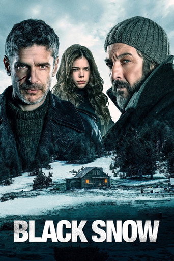 Poster for Black Snow