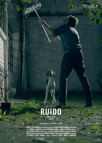 Poster for Ruido