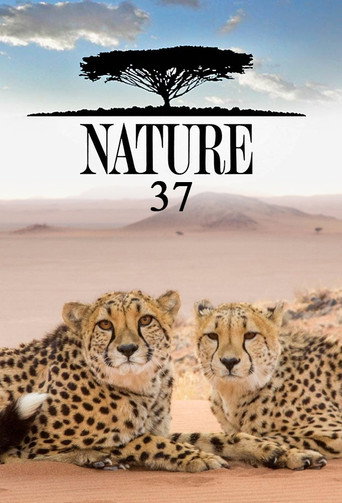 The poster for Season 37