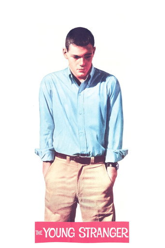 Poster for The Young Stranger