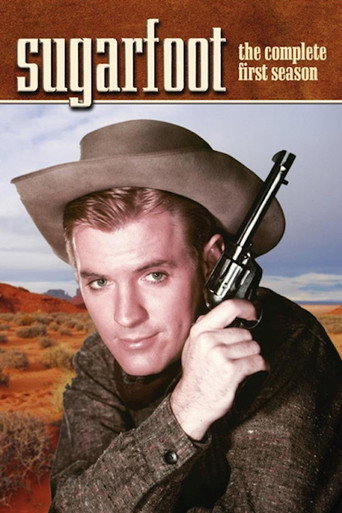 The poster for Season 1