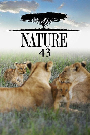 The poster for Season 43