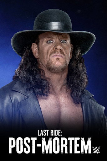 Poster for Last Ride: Post-Mortem