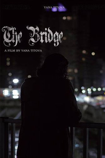 Poster for The Bridge