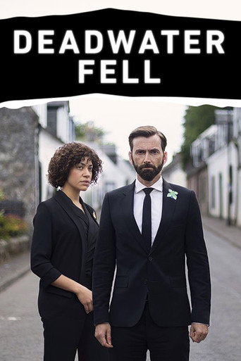 The poster for Miniseries