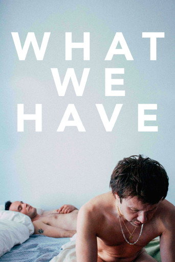 Poster for What We Have