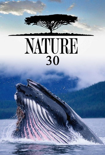 The poster for Season 30
