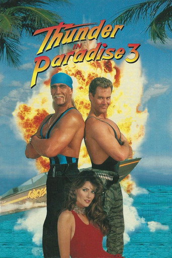 Poster for Thunder in Paradise 3