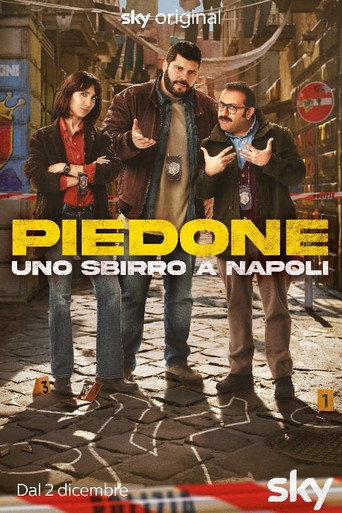 The poster for Season 1