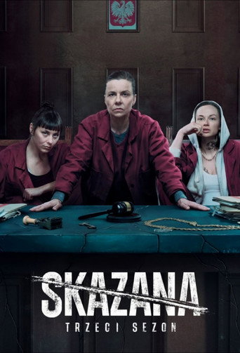 The poster for Season 3