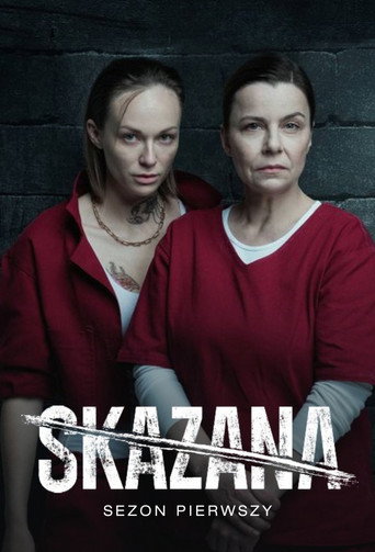 The poster for Season 1