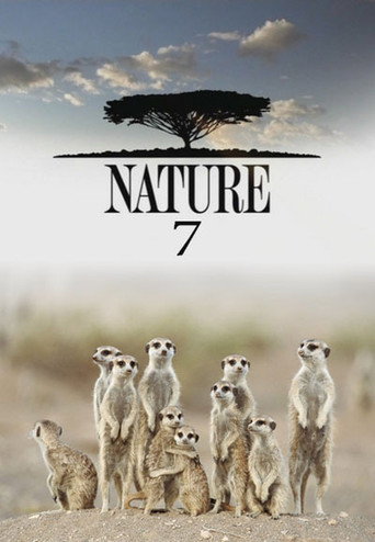 The poster for Season 7
