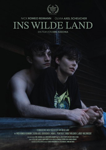 Poster for Into the Wild Land