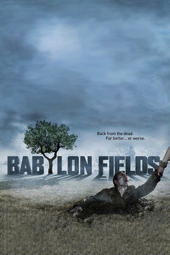 Poster for Babylon Fields