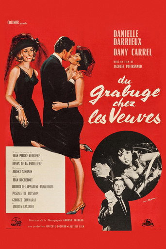 Poster for Trouble Among Widows