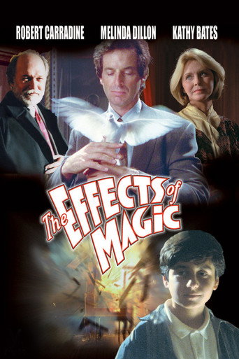 Poster for The Effects of Magic