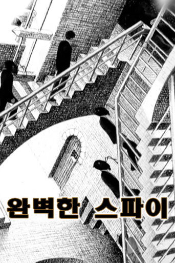 Poster for Perfect Spy