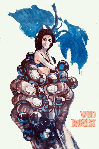 Poster for Wild Harvest