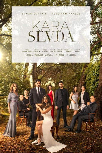 The poster for Season 1