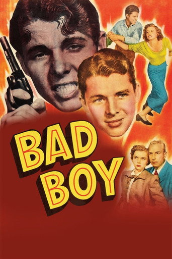 Poster for Bad Boy