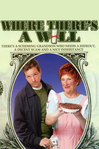 Poster for Where There's a Will