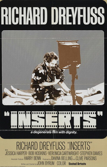 Poster for Inserts