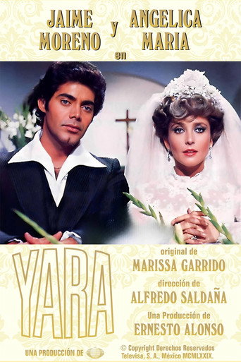 The poster for Season 1
