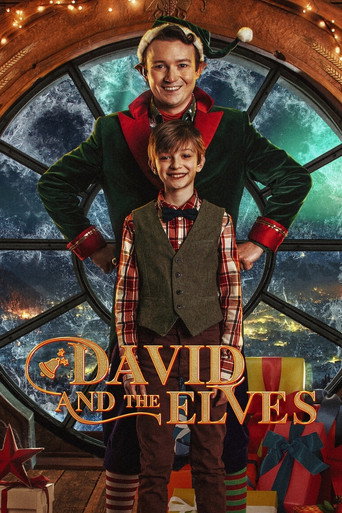 Poster for David and the Elves
