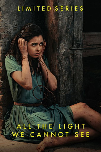 The poster for Limited Series